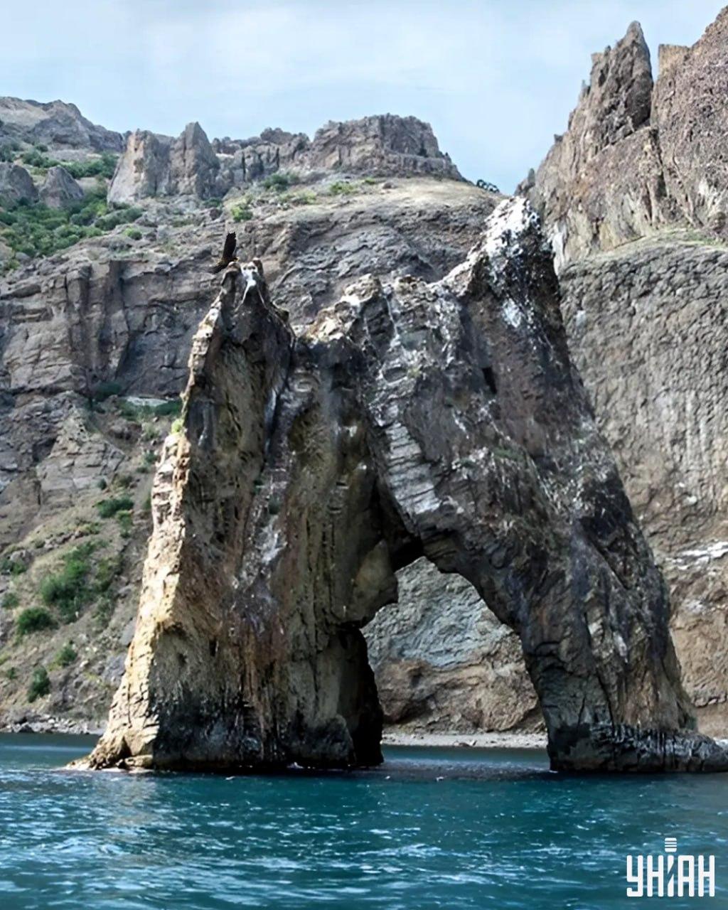 Det tager mindre end 10 sekunder at finde ørnen i puslespilsbilledet / collagen med Moje-foto