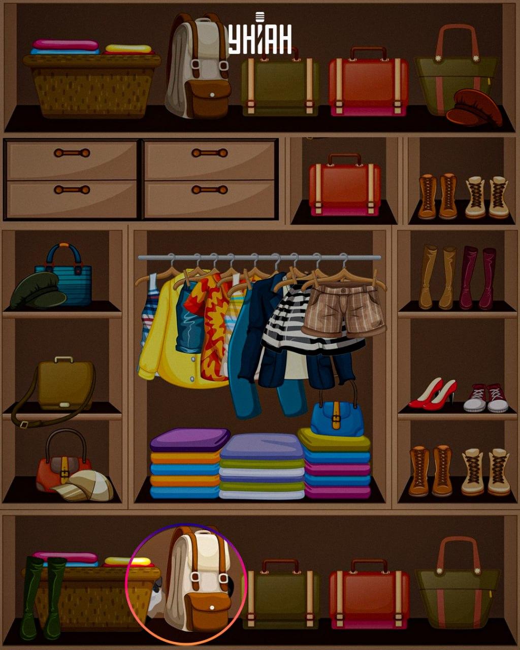 Det snedige dyr blev placeret i bunden af billedet / collagen Moje