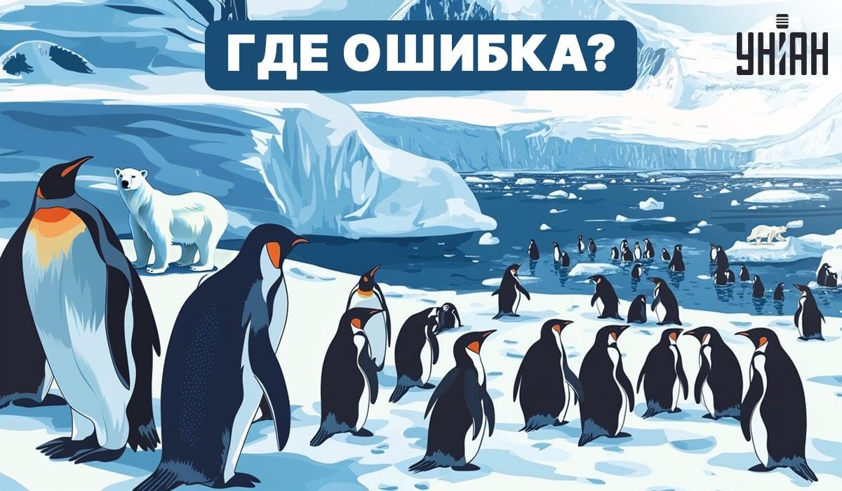 Kan du finde ud af, hvad der er galt på billedet? / Moje