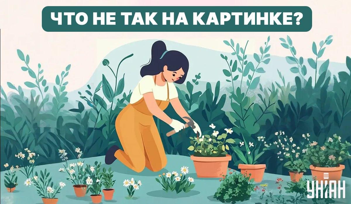 Prøv at finde en fejl / Collage - Moje