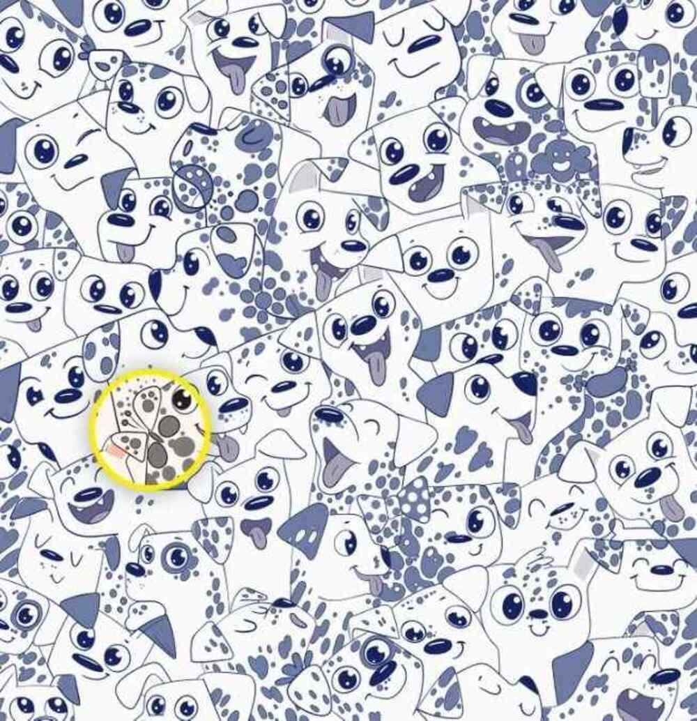 Sommerfuglen var i højre side / Brightside-tegning