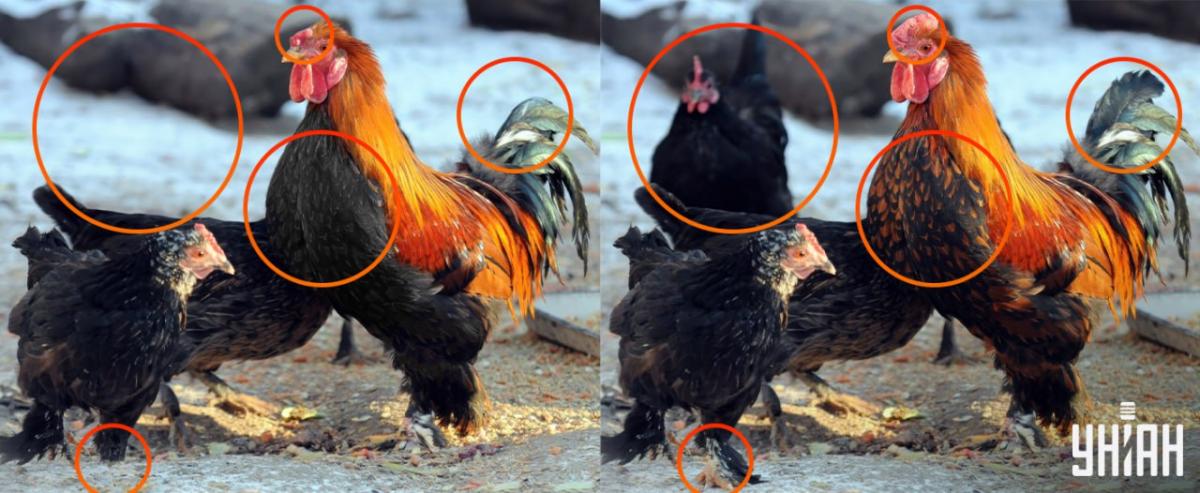 Det var nødvendigt at være opmærksom på små detaljer / collage Moje