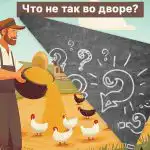 Du skal finde en stor fejl på en bondegård på