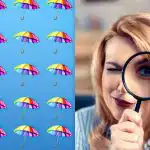 En simpel IQ-test: du skal finde en mærkelig paraply på