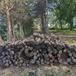 Et puslespil for de mest muntre og opfindsomme: Du skal