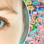 Find pigen blandt flamingoerne på 8 sekunder: Dette puslespil vil