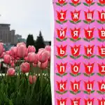 Kan du finde ordet "tulipan" på 11 sekunder: en meget