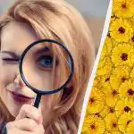 Kun 1 ud af 10 personer kan finde en hjort