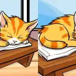 Kun de mest opmærksomme kan finde 3 forskelle fra et