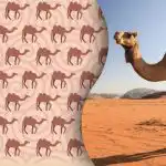 Kun moderne Sherlock Holmes'er vil finde den mærkelige kamel: et